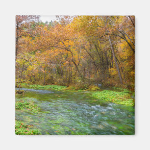 Alley Spring Herbst Wasser Magnet