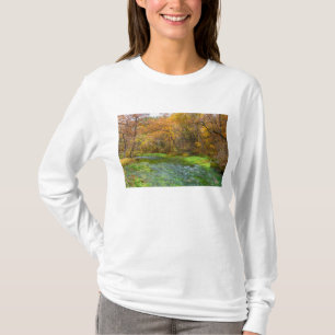Alley Spring Herbst Wasser T-Shirt