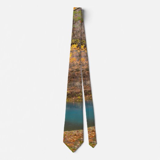 Alley Spring View Neck Tie Krawatte (Vorderseite)