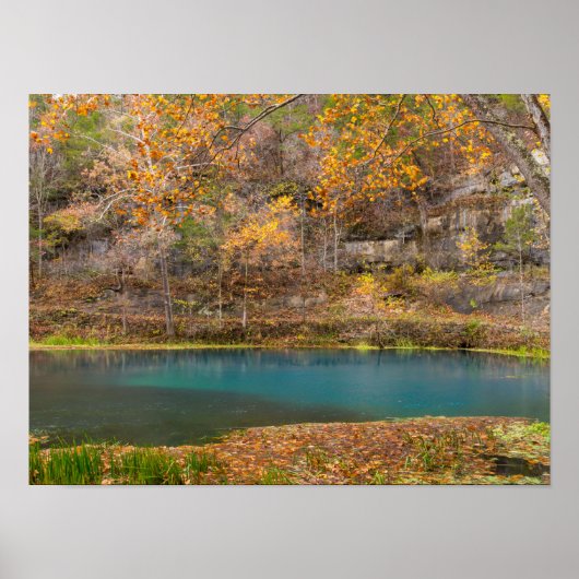 Alley Spring View Poster (Vorne)