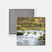 Alley Springs Rapids Magnet (Vorderseite/Rückseite)
