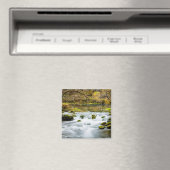 Alley Springs Rapids Magnet (In Situ (Geschirrspüler))