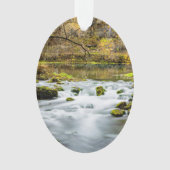 Alley Springs Rapids Ornament (Vorderseite)