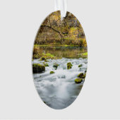 Alley Springs Rapids Ornament (Vorderseite)