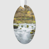 Alley Springs Rapids Ornament (Vorderseite)