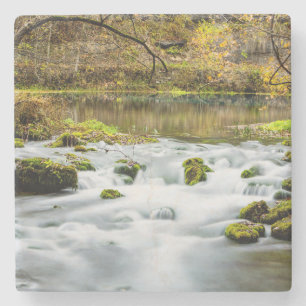 Alley Springs Rapids Steinuntersetzer