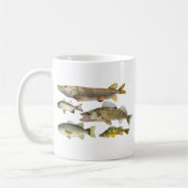 AllFische Kaffeetasse (Links)