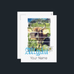 Allgäu Alpen Vintage Kuh Bayern Deutschland Souven Feiertagspostkarte<br><div class="desc">Allgäu-Design mit Kuh in den Alpen. Vintage Oberallgäu Kuh für Bayerische Ferien. Allgäu Brown Swiss in Kempten als Andenken- oder Geburtstagsgeschenk für Oberstdorf und Österreich Alm Urlaub. Lifestyle für Wanderer, Allgäu-Berge und Freunde Deutschlands. Allgäu Vintage Kuh mit Alpen in Bayern Deutschland. Oberstdorf im Allgäu Vintages Panorama-Viehsouvenir für den Urlaub in...</div>