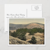 Allgemeine Ansicht der Zedern des Libanon, Libanon Postkarte (Vorne/Hinten)