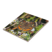 Allgemeine Fliese (Seite)