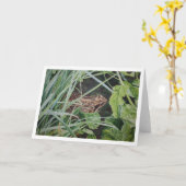 allgemeine Froschgrußkarte Karte (Gelbe Blume)