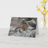 Allgemeine Geburtstagskarte Chipmunk Karte (Gelbe Blume)