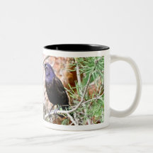 Allgemeine Grackle Tasse