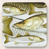 Allgemeine Hechtmakrele-Untersetzer Untersetzer (Vorderseite)