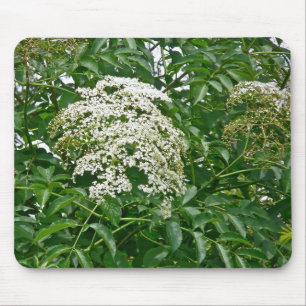 Allgemeine Holunderbeerkoordiniereneinzelteile Mousepad