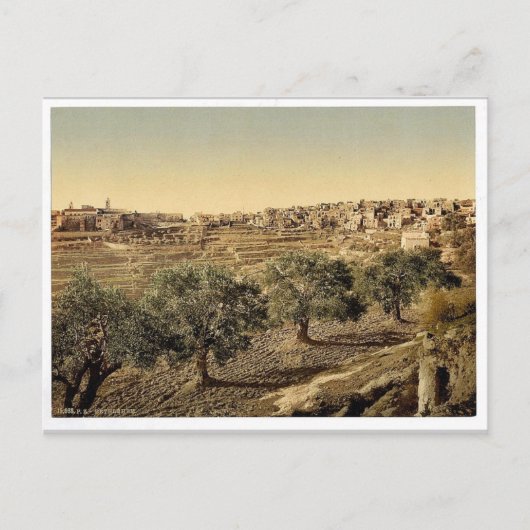 Allgemeine Sicht auf den Brunnen David, Bethlehem, Postkarte (Vorderseite)