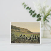 Allgemeine Sicht, Berg Carmel, Heiliges Land (d.h. Postkarte (Stehend Vorderseite)