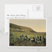 Allgemeine Sicht, Berg Carmel, Heiliges Land (d.h. Postkarte (Vorne/Hinten)