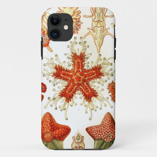 Allgemeine Starfish-Entwürfe Case-Mate iPhone Hülle (Rückseite)