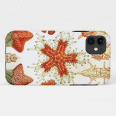 Allgemeine Starfish-Entwürfe Case-Mate iPhone Hülle (Rückseite (Horizontal))