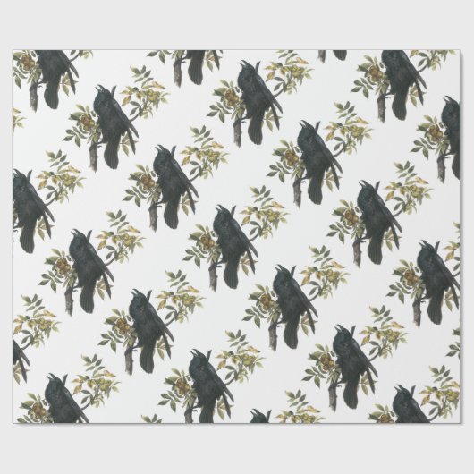 Allgemeiner Rabe durch Audubon Geschenkpapier (Flach)