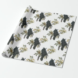 Allgemeiner Rabe durch Audubon Geschenkpapier