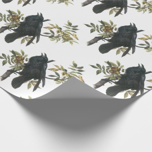Allgemeiner Rabe durch Audubon Geschenkpapier (Ecke)