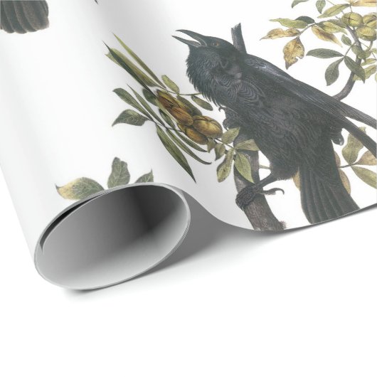 Allgemeiner Rabe durch Audubon Geschenkpapier (Rolleneckpunkt)