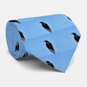 Allgemeiner Rabe Krawatte (Gerollt)