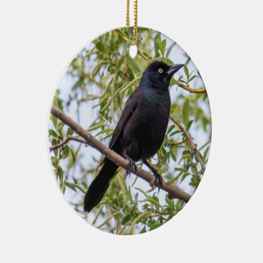 Allgemeines Grackle Keramikornament (Rechts)