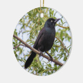 Allgemeines Grackle Keramikornament (Links)