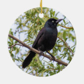 Allgemeines Grackle Keramikornament (Hinten)