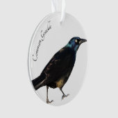 Allgemeines Grackle Ornament (Vorderseite)