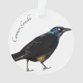 Allgemeines Grackle Ornament (Vorderseite)