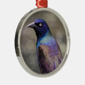 Allgemeines Grackle Silbernes Ornament (Rechts)