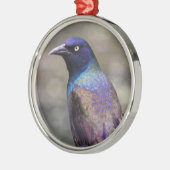 Allgemeines Grackle Silbernes Ornament (Links)