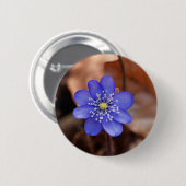 Allgemeines Hepatica (Hepatica nobilis) Button (Vorne & Hinten)