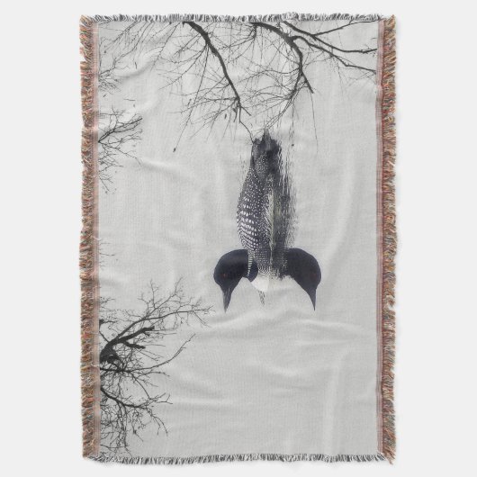 Allgemeines Loon-Schwimmen in einem Nordsee im Decke (Vorderseite Vertikal)