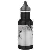 Allgemeines Loon-Schwimmen in einem Nordsee im Edelstahlflasche (Links)