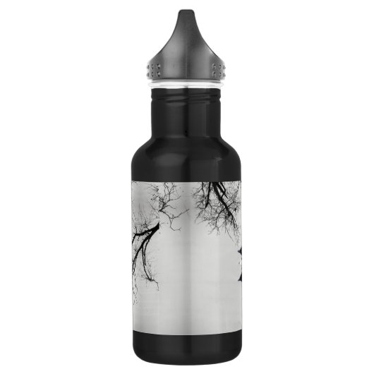 Allgemeines Loon-Schwimmen in einem Nordsee im Edelstahlflasche (Links)