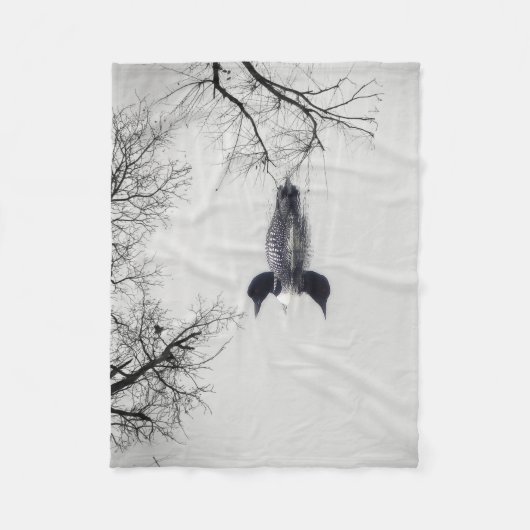 Allgemeines Loon-Schwimmen in einem Nordsee im Fleecedecke (Vorderseite)