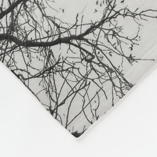 Allgemeines Loon-Schwimmen in einem Nordsee im Fleecedecke (Ecke)