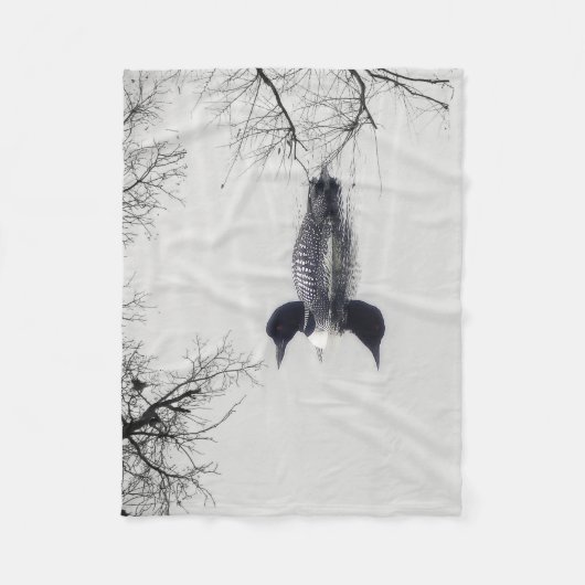 Allgemeines Loon-Schwimmen in einem Nordsee im Fleecedecke (Vorderseite)