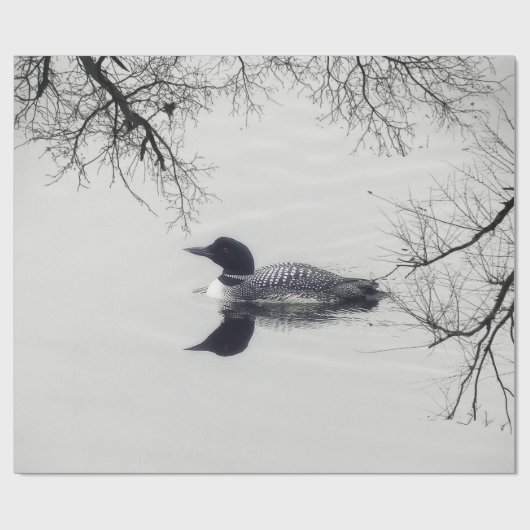 Allgemeines Loon-Schwimmen in einem Nordsee im Geschenkpapier (Flach)