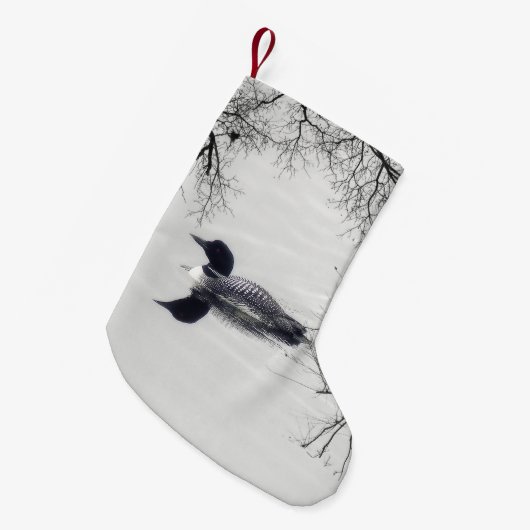 Allgemeines Loon-Schwimmen in einem Nordsee im Kleiner Weihnachtsstrumpf (Vorderansicht (hängend))