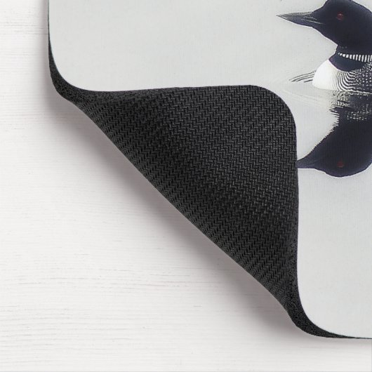 Allgemeines Loon-Schwimmen in einem Nordsee im Mousepad (Ecke)