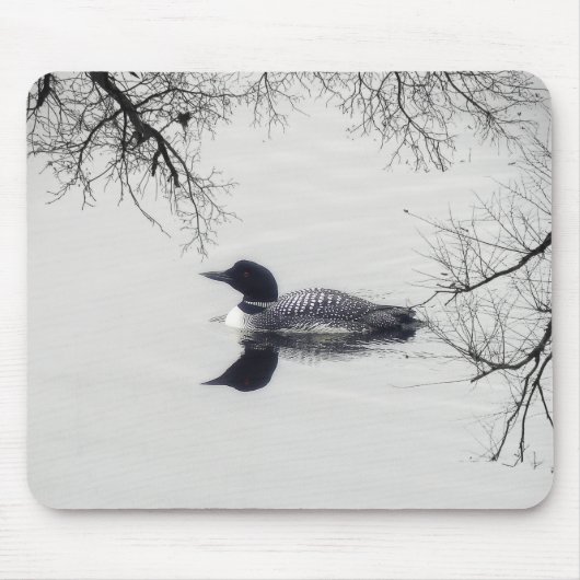 Allgemeines Loon-Schwimmen in einem Nordsee im Mousepad (Vorne)