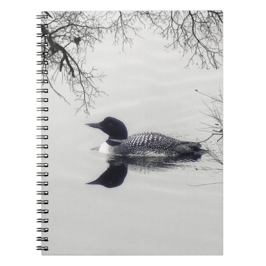 Allgemeines Loon-Schwimmen in einem Nordsee im Notizblock (Vorderseite)