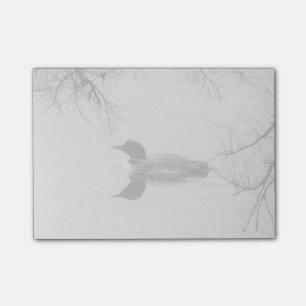 Allgemeines Loon-Schwimmen in einem Nordsee im Post-it Klebezettel