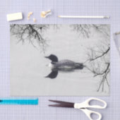 Allgemeines Loon-Schwimmen in einem Nordsee im Seidenpapier (Handwerk)